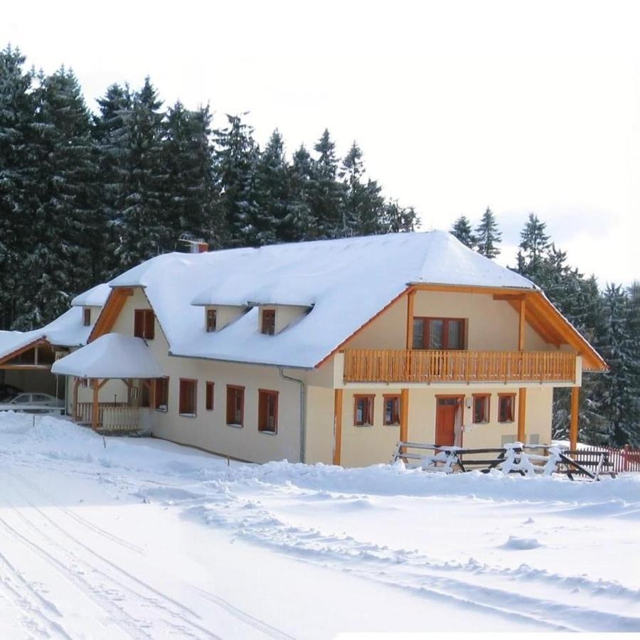 Penzion Patrik Mikulcin Vrch Vapenice Bagian luar foto